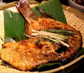 云海肴 地道云南菜的品牌魅力与稳健加盟之路